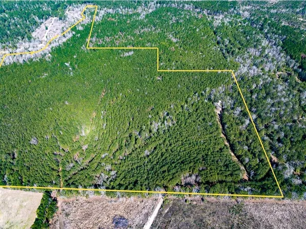 Lyons Cemetery Rd, Moscow, TX 75960