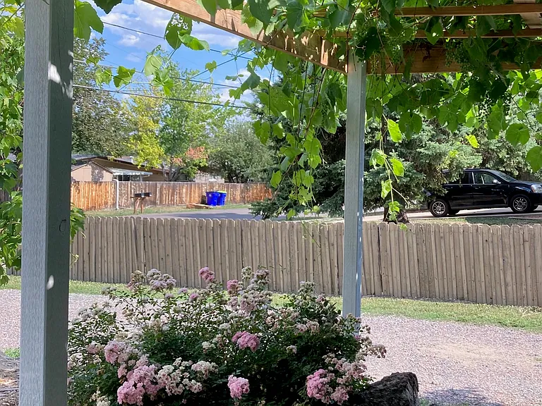Beautiful, shaded walkway under a grape arbor.