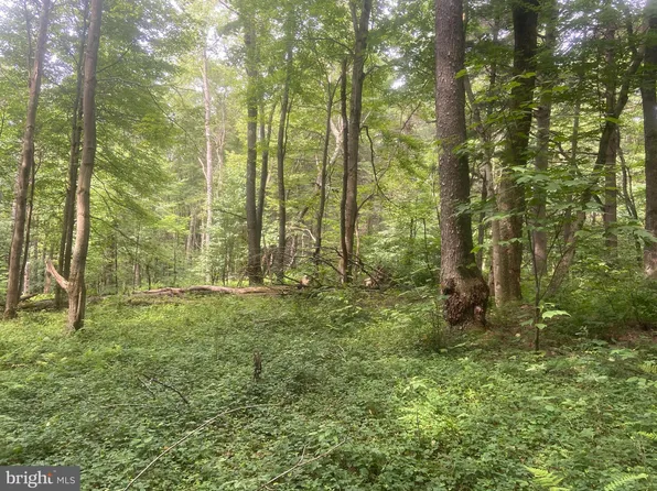 LOT 8 Pine Springs Dr, Grantsville, MD 21536