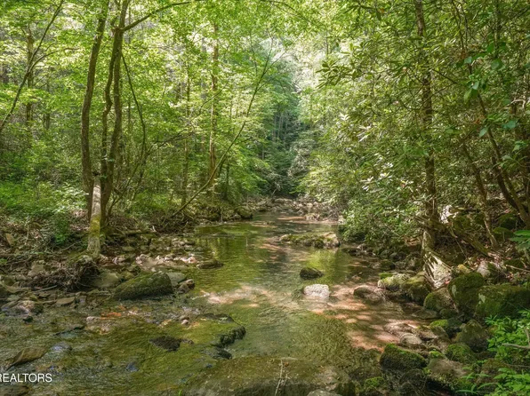 1322 E Millers Cove Rd, Walland, TN 37886