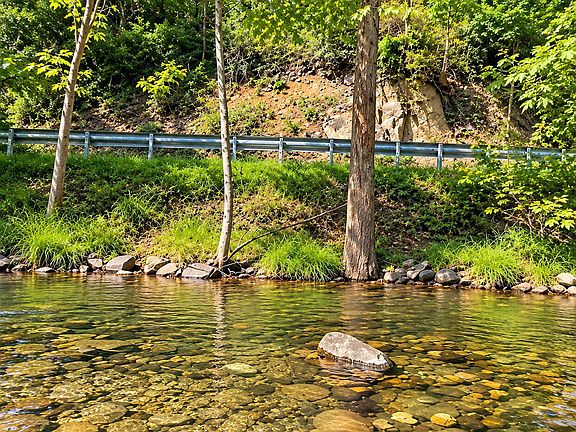 4th image of 1463 Back Creek Rd