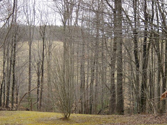 4th image of 400 Forest View Dr