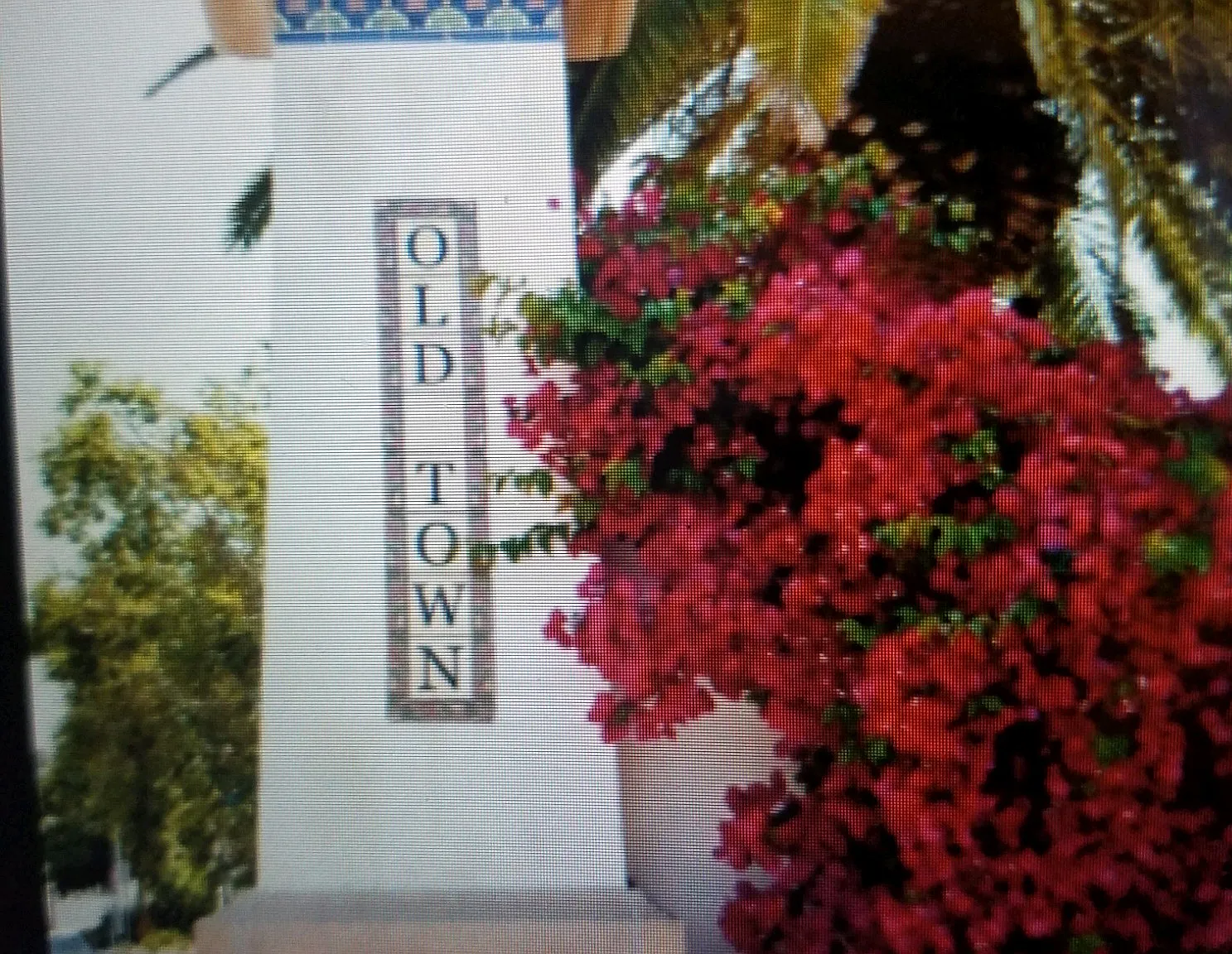 2 bed, $2,400 — Photo 2