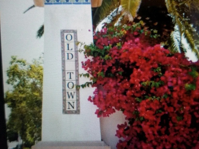 1850 Colonia Pl — Photo 2