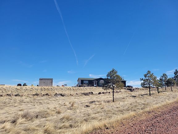 3rd image of 22 Buffalo Back Peak Rd