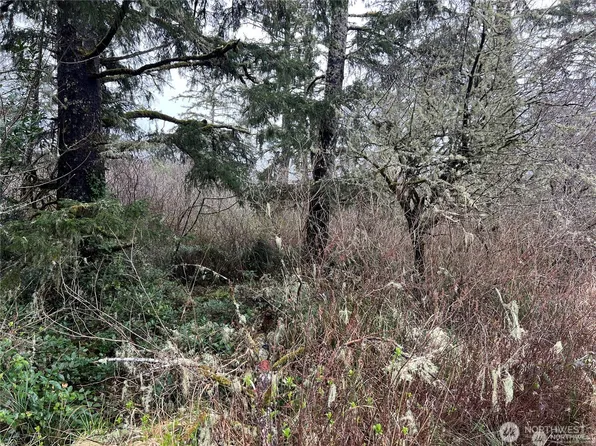 0 X 102nd Place, Long Beach, WA 98631