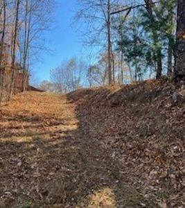 Stansbury Mountain Rd, Turtletown, TN, 37391