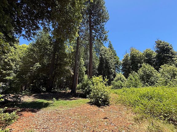 5th image of 17243 Indiana Ranch Rd