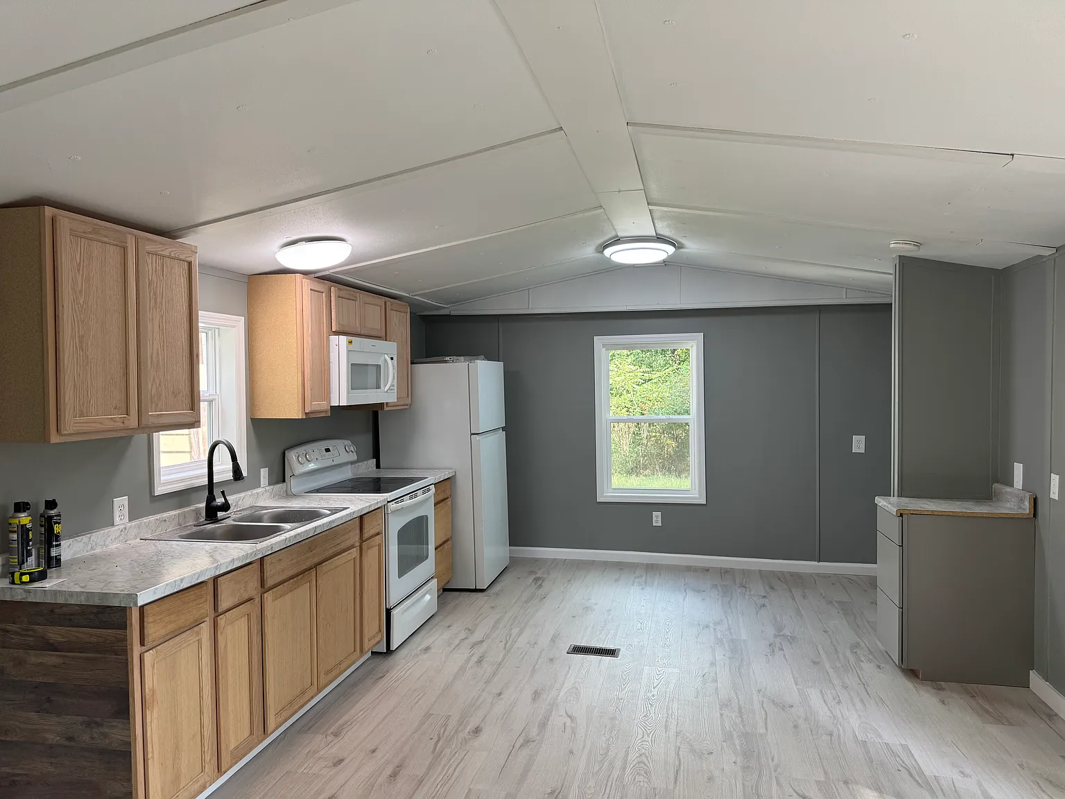 3 bed, 1000 sqft, $1,200 — Photo 3