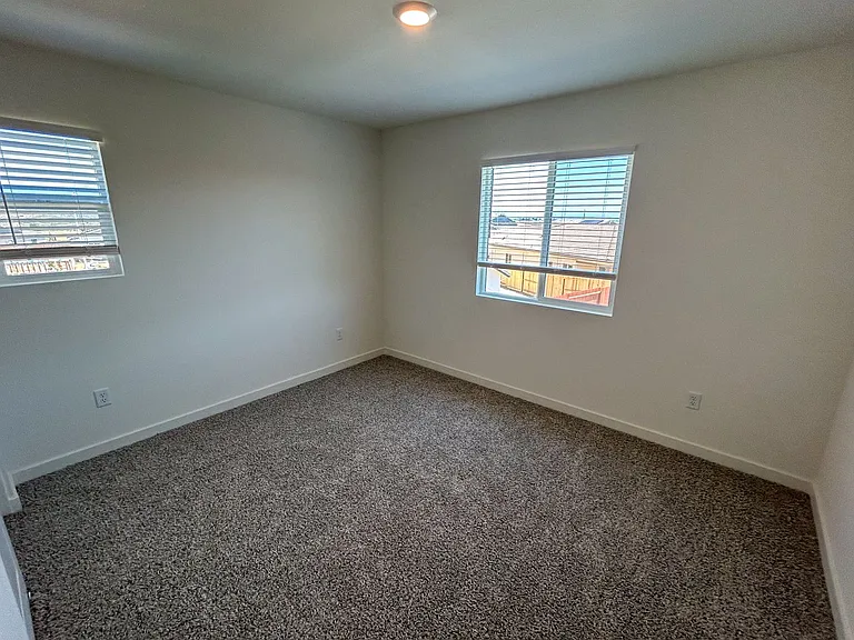 809 Congaree Ln — Photo 19