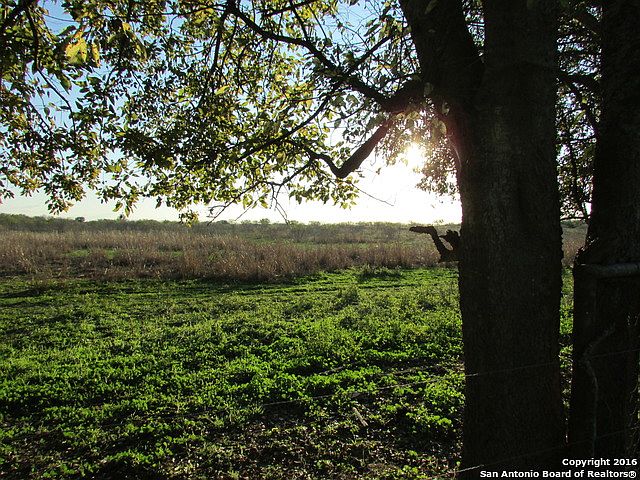 1st image of 17485 S US Highway 281
