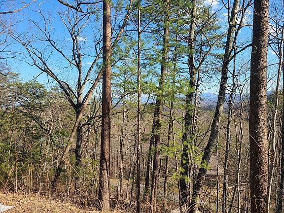 3rd image of 1 Rising Fawn Way