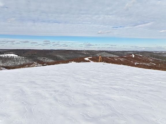 2nd image of 357 Enley Rd