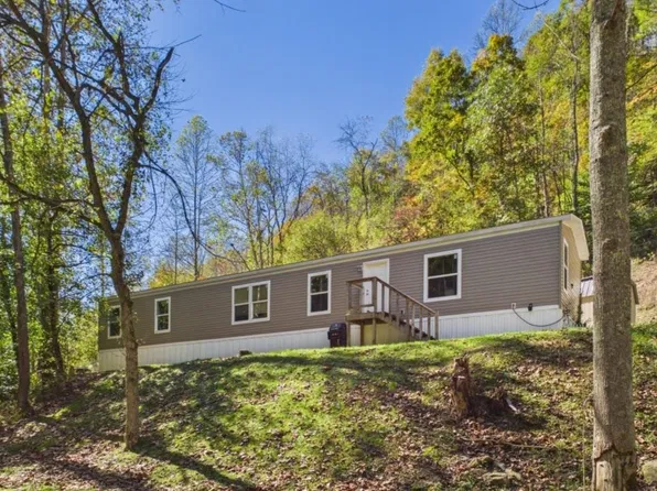 617 Silk Fork Rd, Fort Gay, WV 25514
