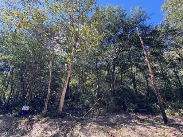 LOT 242 Mehringer Rd Lot 242, Shepherd, TX 77371