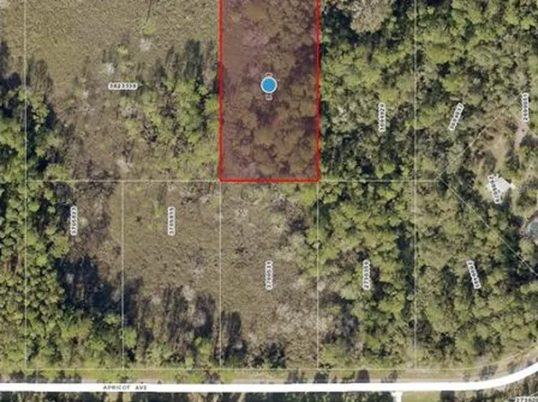 E Bluebell Ave Lot 3, Eustis, FL 32736