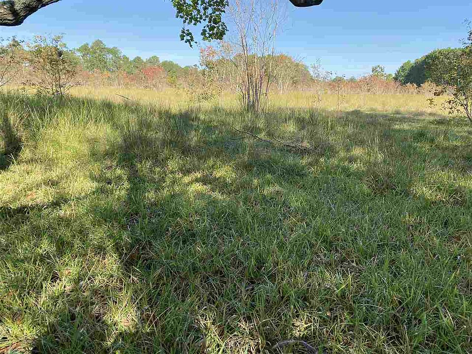 2nd image of Shadowdale Ln
