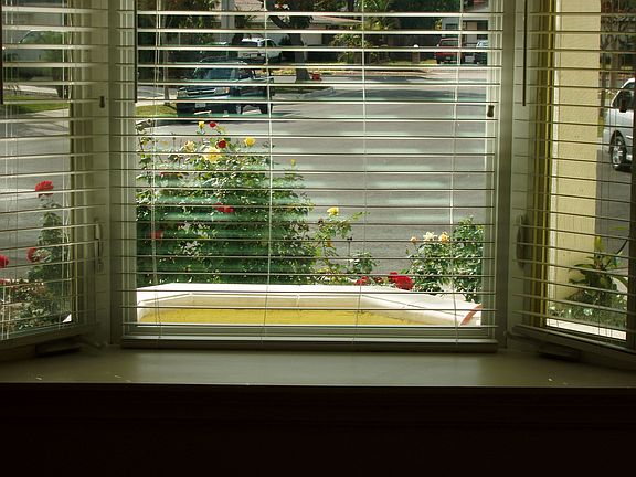 Bay windows over garden