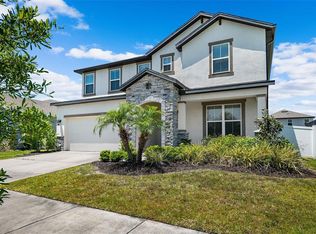 33067 Frogs Leap Ln, Wesley Chapel, FL 33545