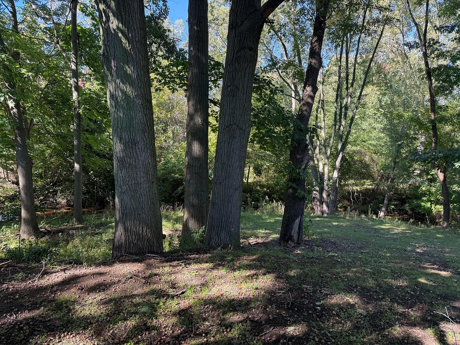 901 Butternut Drive — Photo 1
