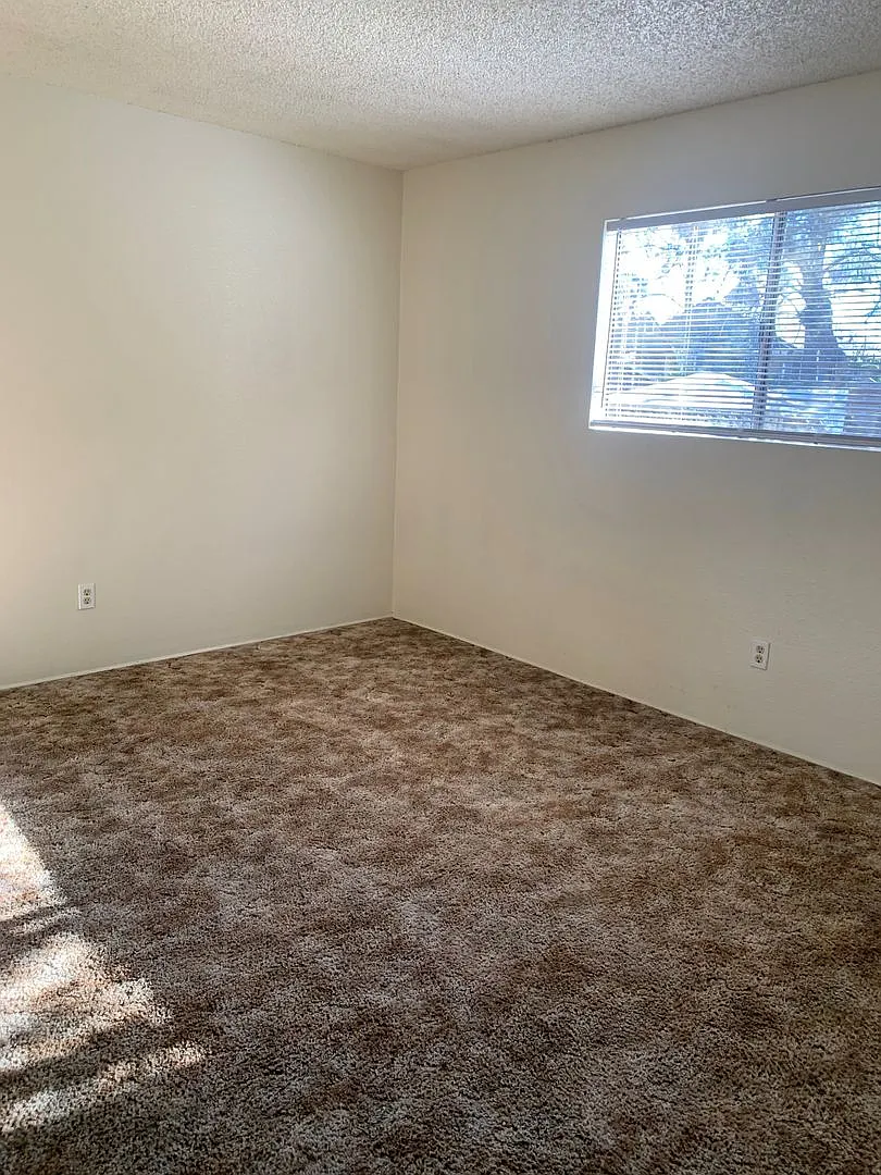 1615 Olive Avenue — Photo 4