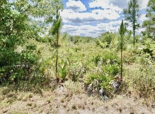 3362 Rhododendron Rd, Lake Placid, FL 33852