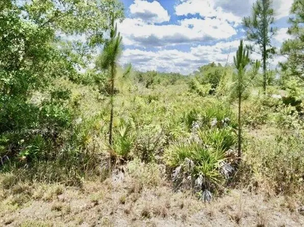 3362 Rhododendron Road, Lake Placid, FL 33852