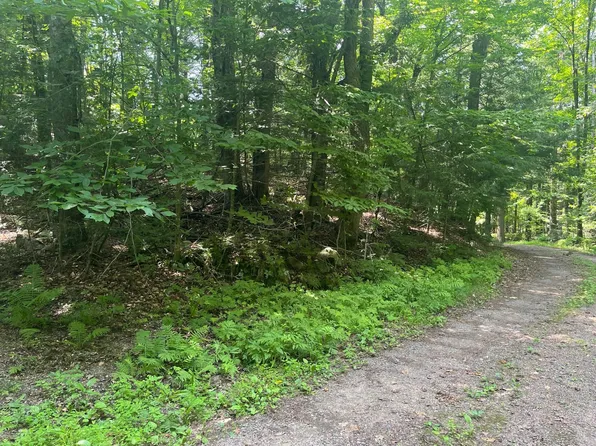 17197 Patti Ln, Lakewood, WI 54138