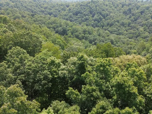 0 Richmond Rd, Emerson, KY 41135