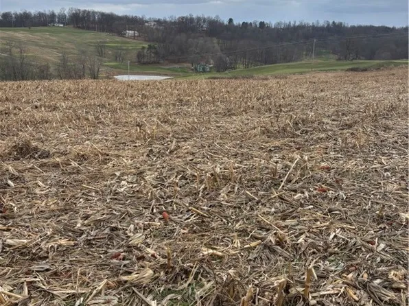 Township Road 103, Millersburg, OH 44654