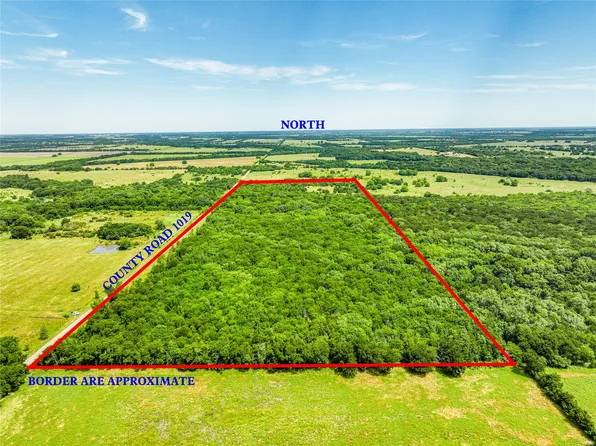 0 County Road 1019, Celeste, TX 75423