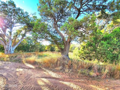 Casper Ln, Show Low, AZ, 85901