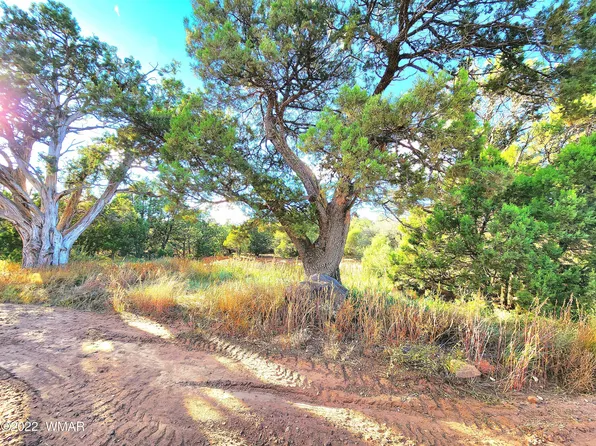 Casper Ln, Show Low, AZ 85901