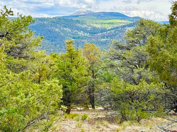 207 Wolf Creek Rd, South Fork, CO 81154