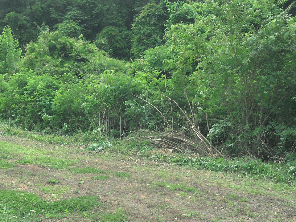 2nd image of Edwards Rd