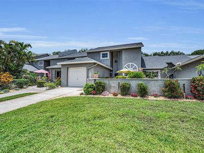 184 Hunter Ct, Palm Harbor, FL, 34684