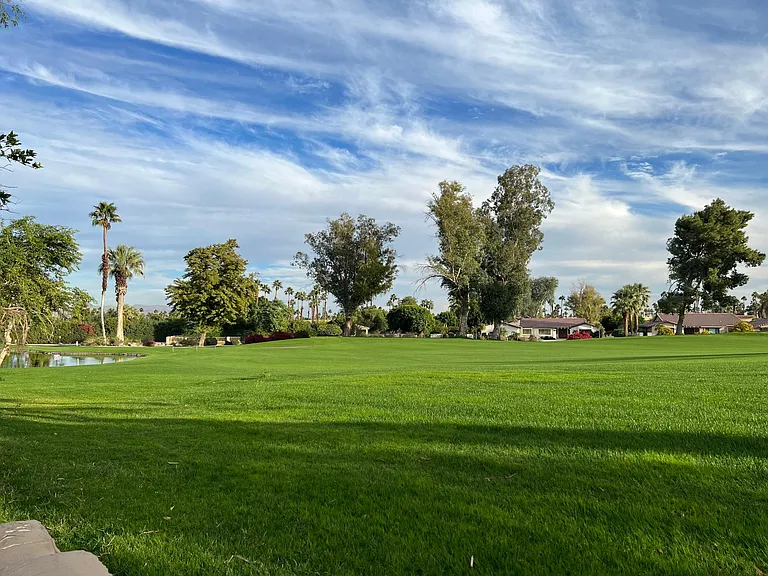 39080 Kilimanjaro Ct — Photo 50