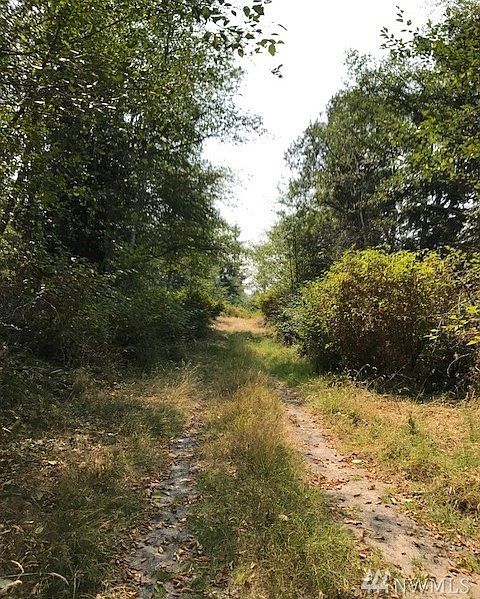 This is the easement road off Ander Park Way to the 5 acre parcel.