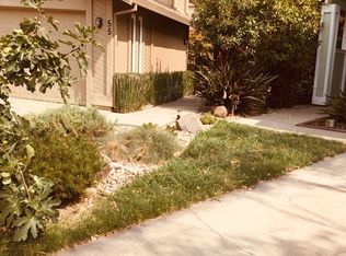 55 Lanyard Ct, Sacramento, CA 95831