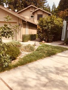 55 Lanyard Ct, Sacramento, CA, 95831
