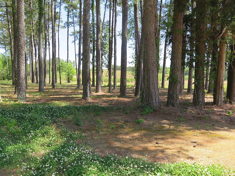 1921 Russell Mount Gilead Rd Meridian MS Zillow