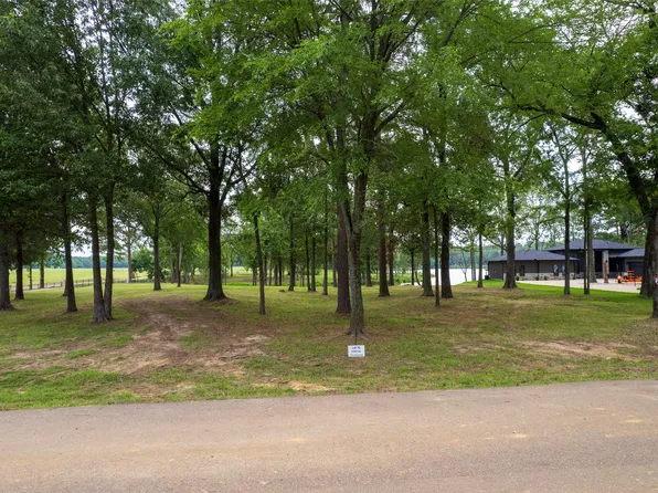 10 Eagles Nest Cir, Mount Vernon, TX 75457