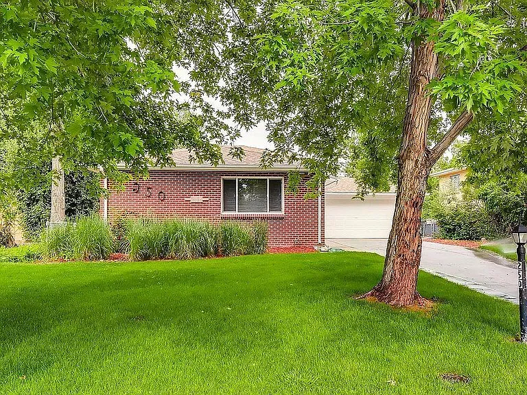 Front yard