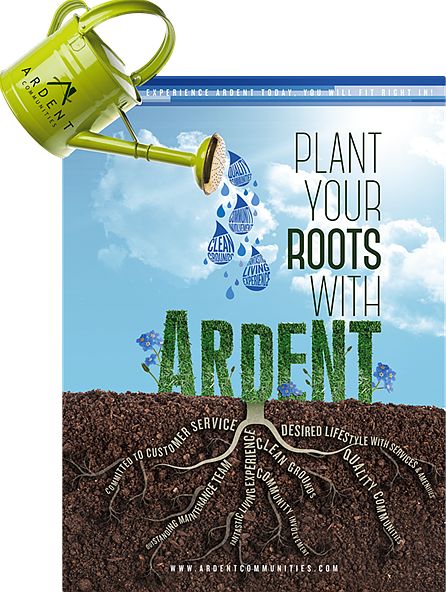 plant your roots