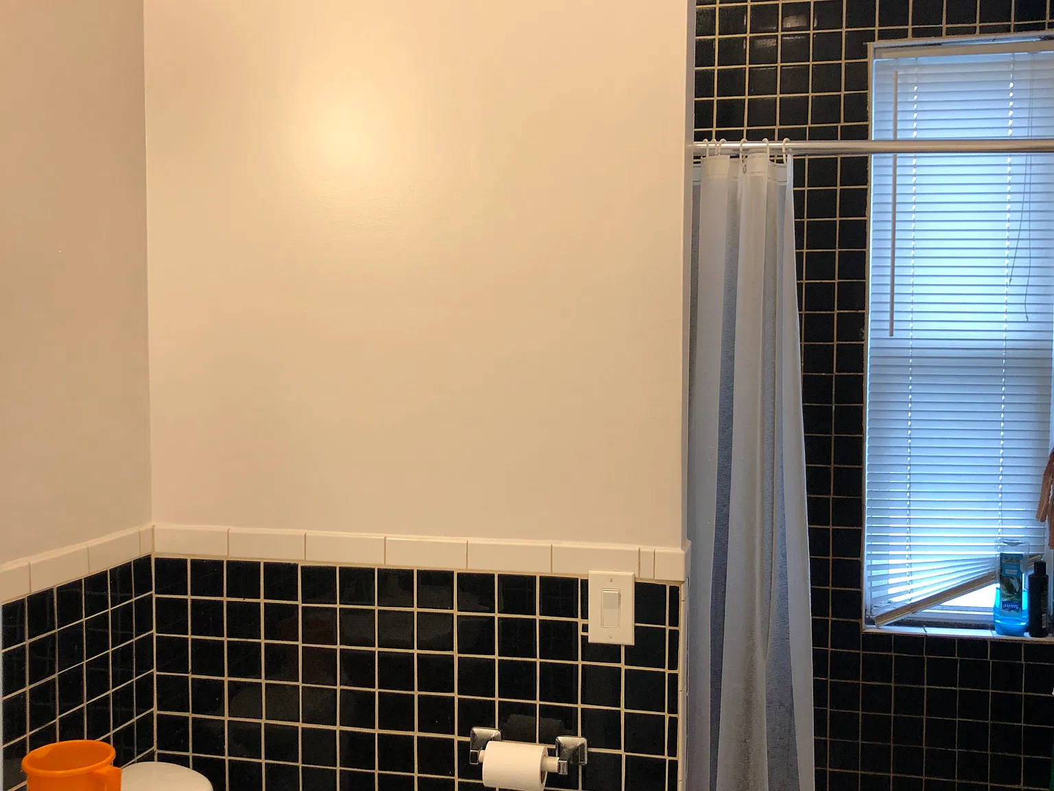 3 bed, $750 — Photo 3