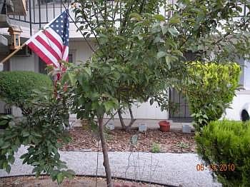 4th image of 900 I St APT 222