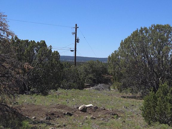 5th image of 8411 Javelina Dr