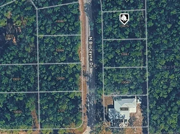 10075 N Biscayne Dr Lot 33, Dunnellon, FL 34434