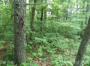 3 N Pointe Dr #3, Zirconia, NC 28790