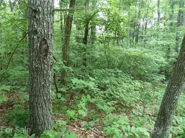 3 N Pointe Dr #3, Zirconia, NC 28790